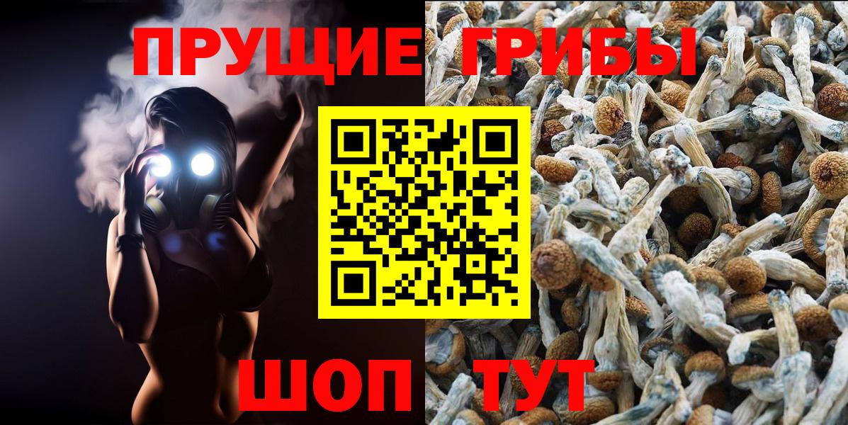 Галлюциногенные грибы ЛСД  Вход с VPN  Киселёвск 